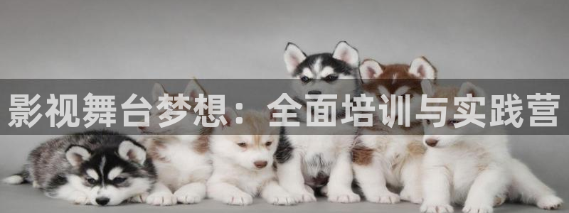 日本真人人人爱视频