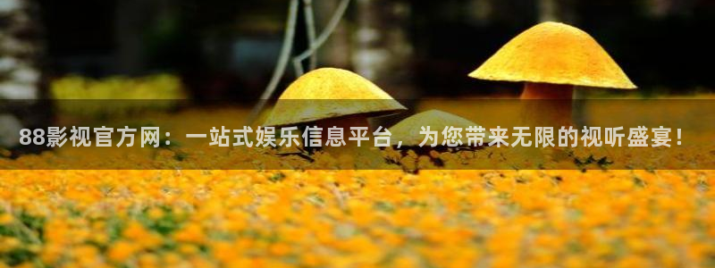 人人澡在线视频你懂的