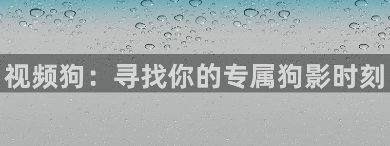 人人三级视频在线观看